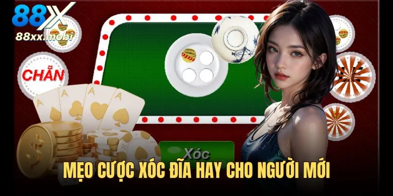 Mẹo cược Xóc Đĩa bao lời dành cho người mới